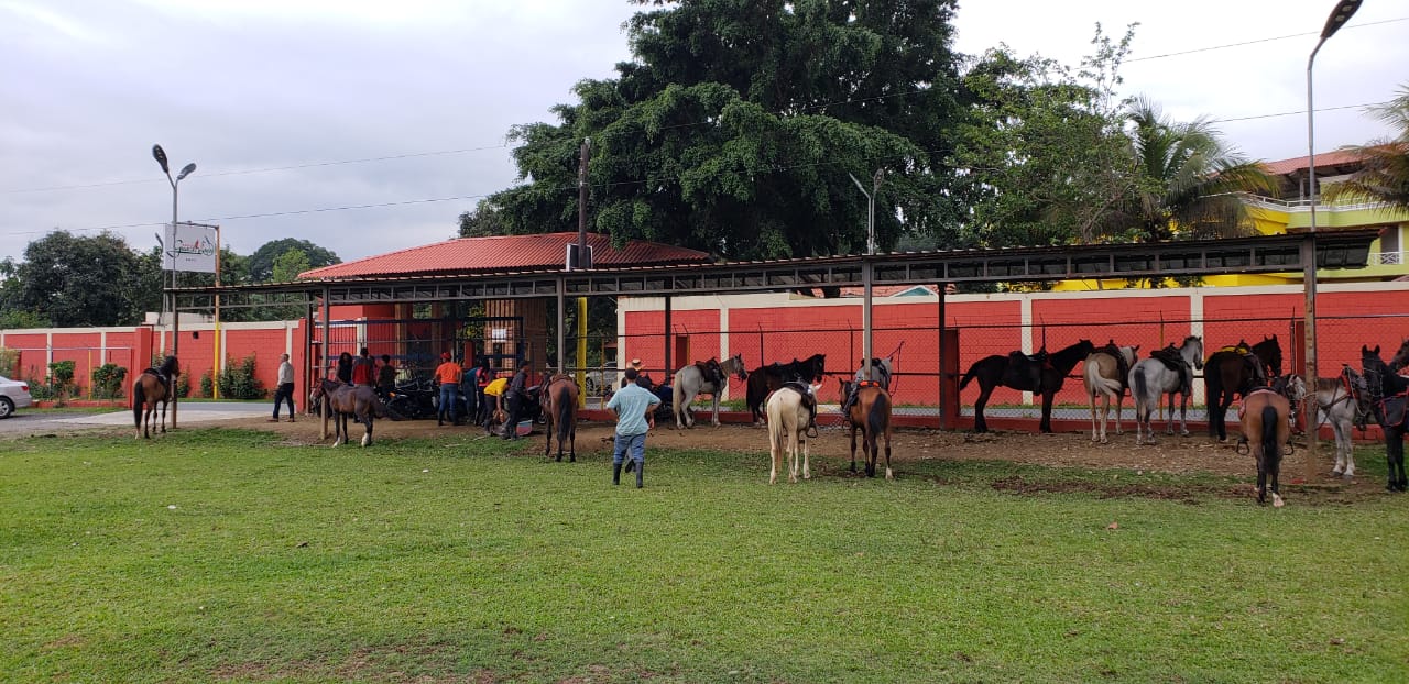 Bonao and its equestrian tourism | De Último Minuto English