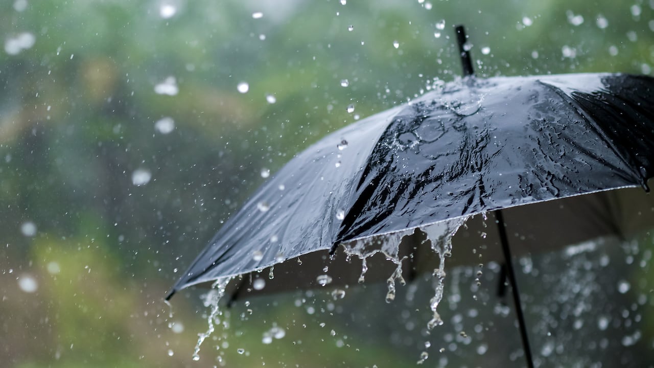 Don't forget your umbrella: Provinces on alert due to the incidence of a trough, according to Indomet | De Último Minuto English