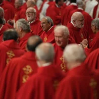 The cardinals retire for lunch before locking themselves in the Sistine Chapel | De Último Minuto English