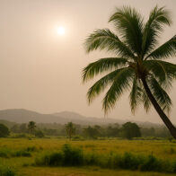 Today's weather forecast for June 26, 2025 in the Dominican Republic: sunny skies and the presence of Saharan dust | De Último Minuto English