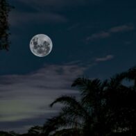July 20: International Moon Day in homage to the first step off Earth | De Último Minuto English