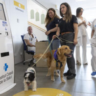 Four-legged therapists in Spain for minors with self-harming and suicidal behaviors | De Último Minuto English