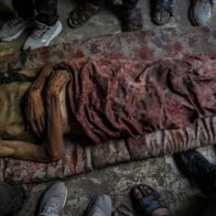 At least 86 Gazans killed on Wednesday while seeking humanitarian aid | De Último Minuto English