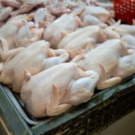 Cibao poultry producers denounce uncontrolled increase in chicken prices | De Último Minuto English