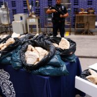 The largest synthetic drug lab in Spain, with links to Colombia, is dismantled | De Último Minuto English