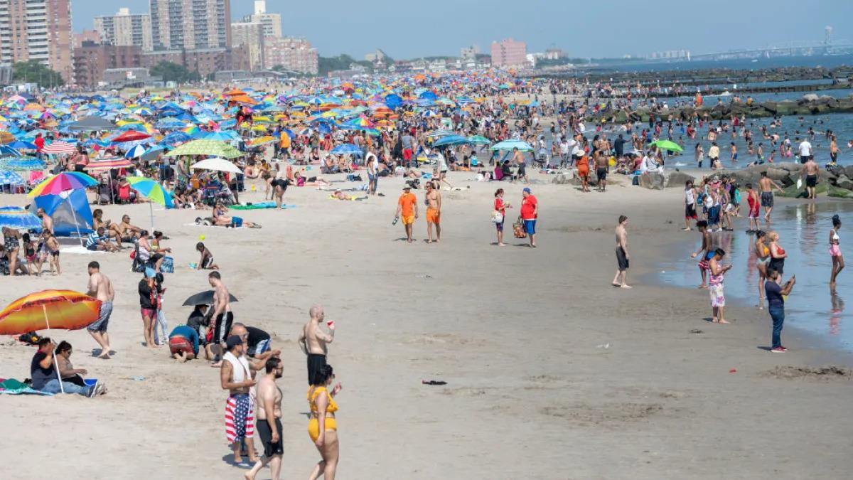 Authorities reinforce surveillance due to the presence of sharks on NY beaches | De Último Minuto English