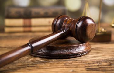 They impose periodic presentation, financial guarantee, and impediment to leaving the country on the man who threw a dog from a building. | De Último Minuto English