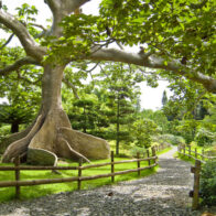 Abinader avoids giving details and says that ministries will issue an opinion on the Botanical Garden | De Último Minuto English