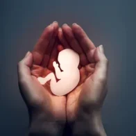 New Criminal Code contemplates one of the three grounds for abortion | De Último Minuto English