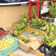 Hundreds of people gather at the 2025 Agricultural and Ecotourism Fair in Azua | De Último Minuto English