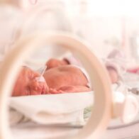 Ecuador's Prosecutor's Office initiates investigation into the death of twelve newborns in a public hospital | De Último Minuto English