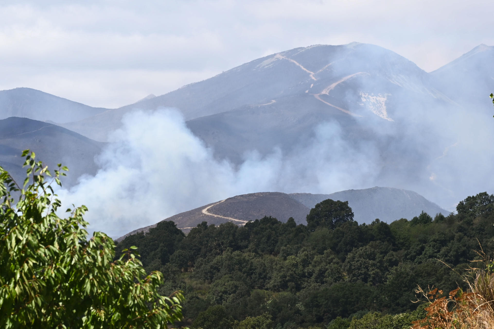 Fires are weakening the natural carbon sink in Europe, according to a report | De Último Minuto English