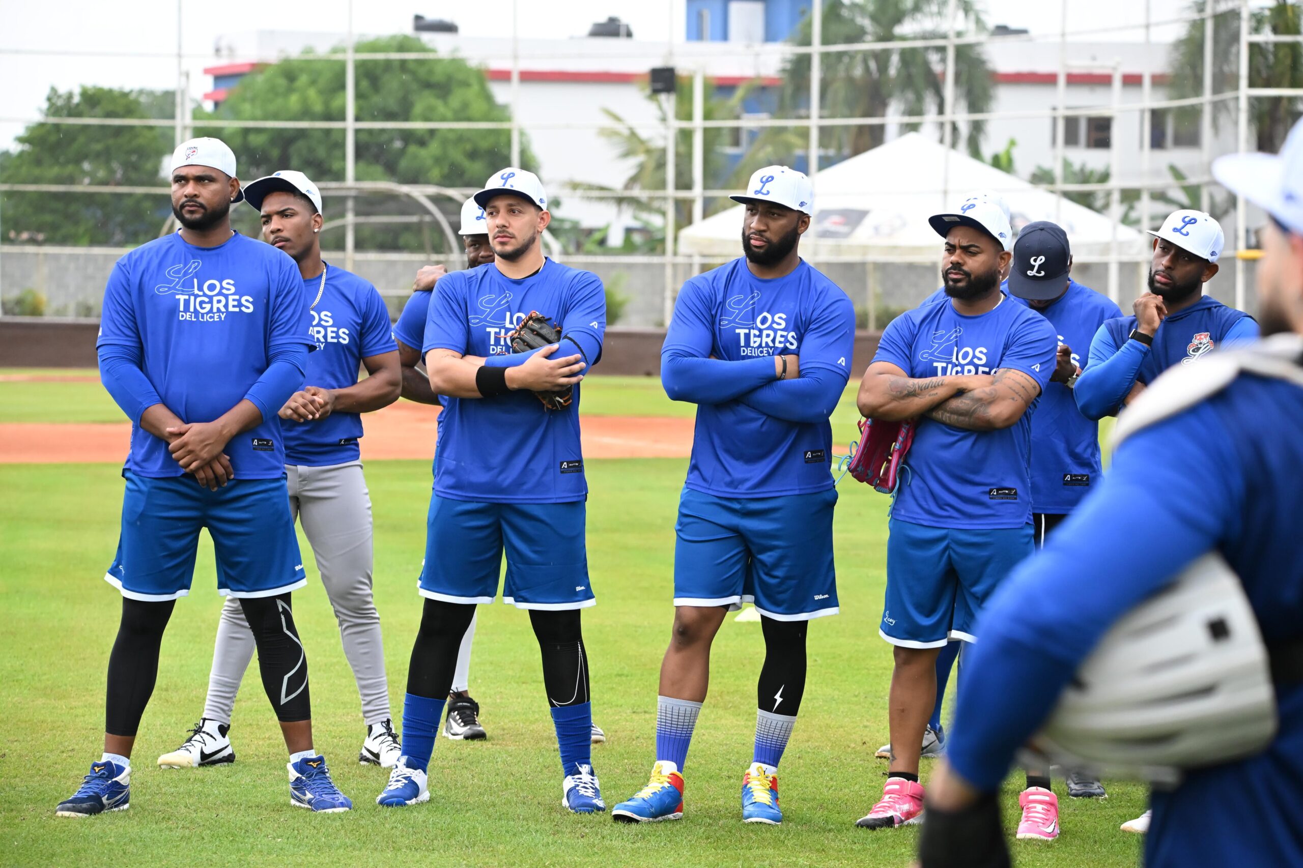Rojas Jr. and Adames lead integrations for the Tigres del Licey | De Último Minuto English