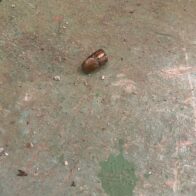 10-year-old girl injured during shooting while sleeping in Villa Hermosa | De Último Minuto English