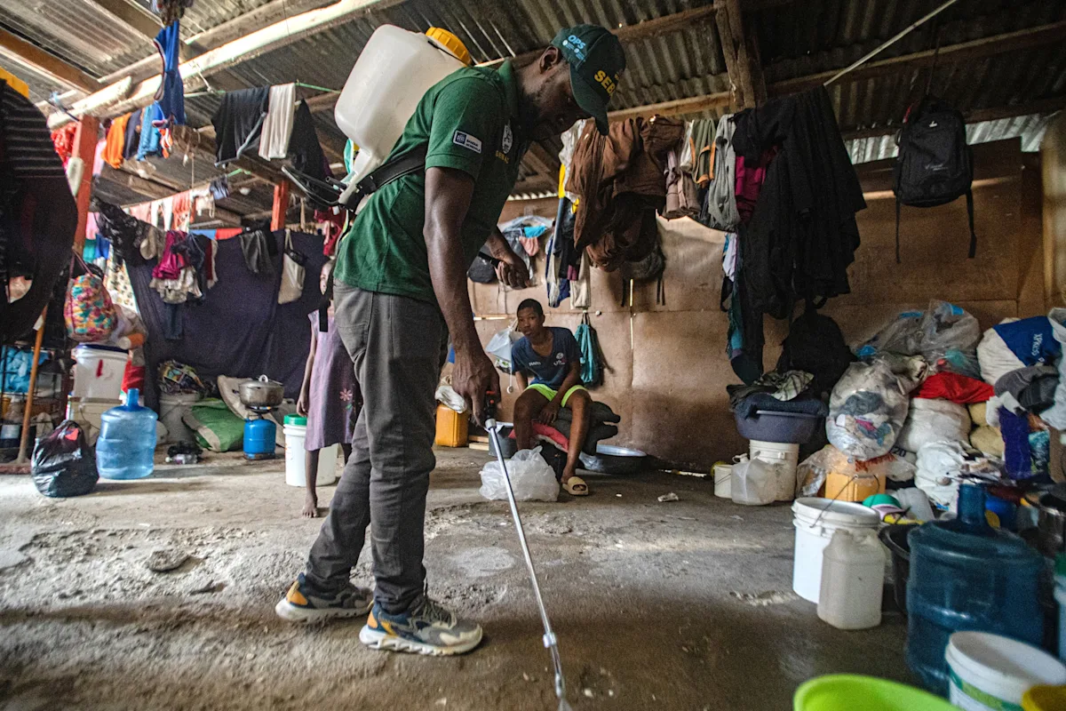 Cholera stalks Haiti again after a surge in cases | De Último Minuto English