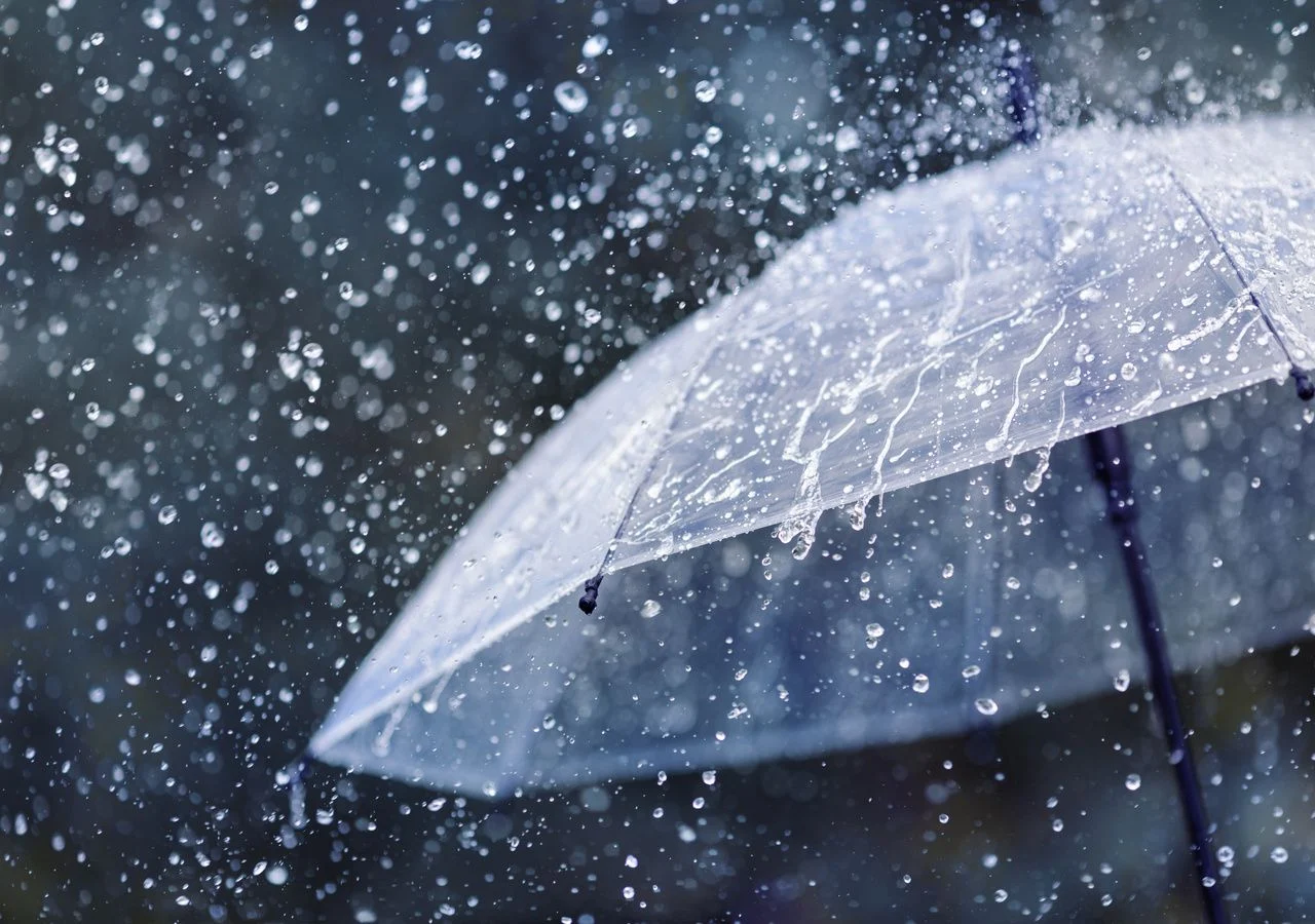 Moderate rain is forecast for the afternoon of this Monday | De Último Minuto English
