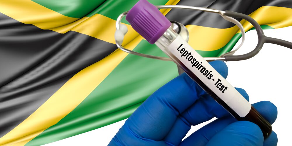 Jamaica suffers an outbreak of leptospirosis after Hurricane Melissa passed. | De Último Minuto English