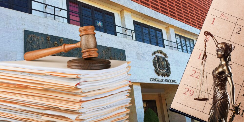 With the legislature about to close, the National Congress is exhibiting important regulations | De Último Minuto English