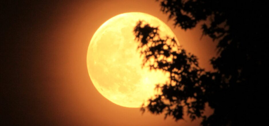 Last night, the first supermoon of 2026 was observed, a spectacle visible throughout the country | De Último Minuto English
