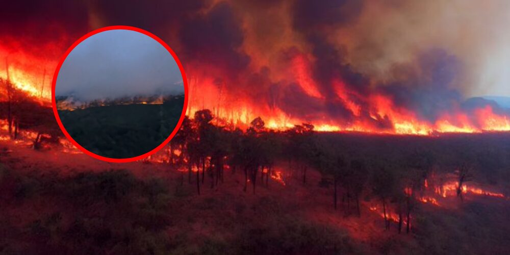 About 170 fires in Georgia and Florida cause evacuations and destroy 49 homes | De Último Minuto English
