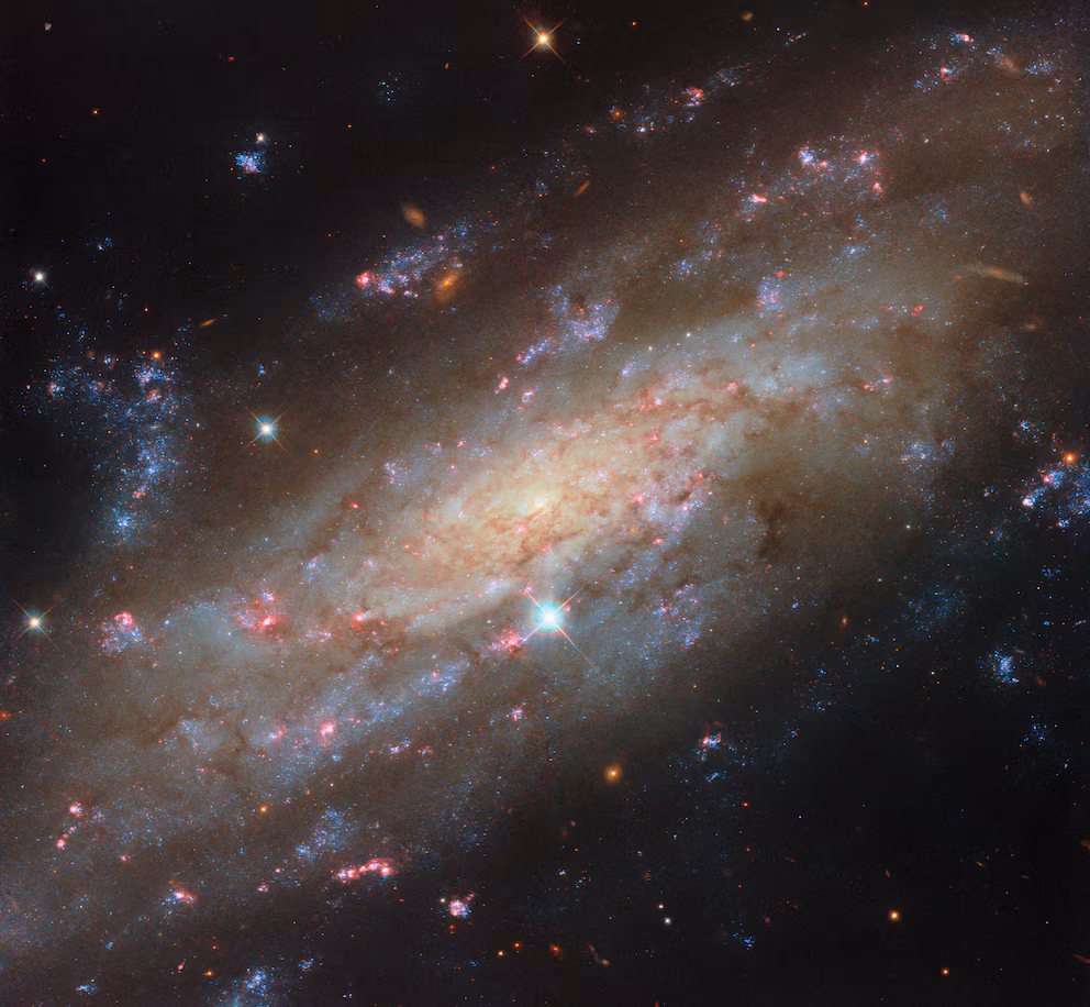 They identify a spiral galaxy 53 million light-years away and discover a black hole at its center