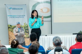 Fundación Reservas del País trains more than 100 micro-entrepreneurs in Pedernales | De Último Minuto English