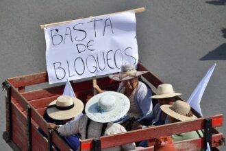 Rejection of blockades in Bolivia grows: a girl with cancer who could not reach La Paz to receive chemotherapy has died | De Último Minuto English