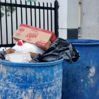 Citizens point to trash as the main environmental problem facing the DR | De Último Minuto English