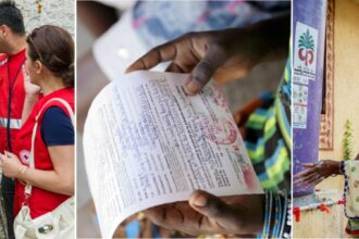"United Nations Public Service Day" | De Último Minuto English