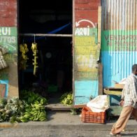 FAO congratulates Dominican Republic for exiting global hunger map