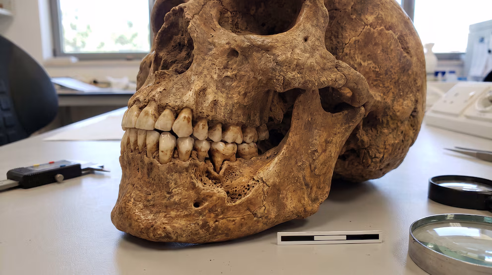 Oldest known violence-related injury identified in Israel on a 90,000-year-old jawbone | De Último Minuto English