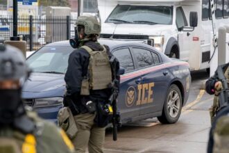 A migrant dies after being struck by a vehicle while fleeing ICE agents | De Último Minuto English