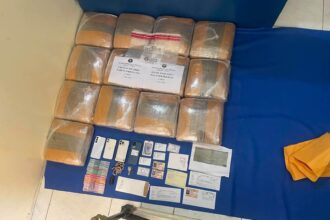 "Authorities seize 13 bales of marijuana and arrest two people in Azua" | De Último Minuto English