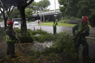 China evacuates 1.7 million people due to Typhoon Bavi, which leaves people injured in Taiwan and Japan | De Último Minuto English