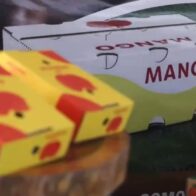 Agriculture strengthens phytosanitary measures to boost mango exports to Europe and the US | De Último Minuto English