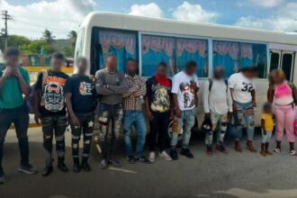 Two Dominicans arrested for transporting 11 Haitians in irregular migratory status | De Último Minuto English