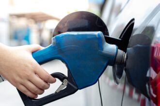 Government keeps fuel prices frozen | De Último Minuto English