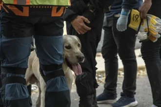 Rescuers attempt to save a nine-year-old boy eight days after the earthquakes in Venezuela | De Último Minuto English
