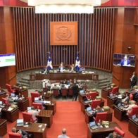 Senado aprueba préstamos por US$465 millones para seguridad vial y manejo del río Yuna | De Último Minuto English