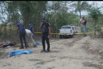 Woman found brutally murdered with stab wounds and burned in La Vega | De Último Minuto English