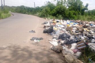La Cuaba remains amidst trash due to improvised landfills | De Último Minuto English