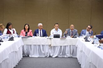 Bicameral Commission concluded study of proposals for Penal Code modification; will submit report this Saturday | De Último Minuto English