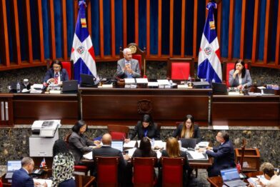 Senate approves law to strengthen support for victims of gender-based violence | De Último Minuto English