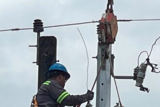 Edeeste strengthens electrical service in Yamasá with new networks and transformer | De Último Minuto English