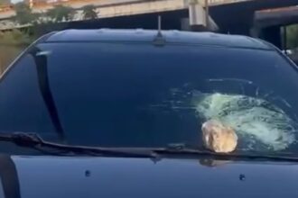 Stone-throwing attack reported on Las Américas Avenue | De Último Minuto English