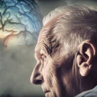 A new hope against Alzheimer's: researchers advance in gene therapy | De Último Minuto English