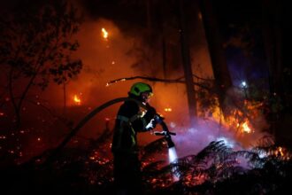 France on heat alert and 63,000 evacuated near Madrid | De Último Minuto English