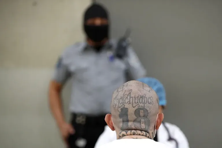 Deaths in El Salvador's prisons under the state of exception rise to 547, according to NGO | De Último Minuto English
