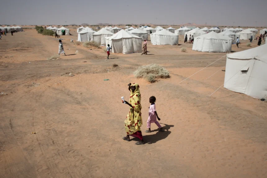 UNICEF states that more than 300 children have been killed or injured in the Sudan war in six months | De Último Minuto English