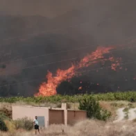 A forest fire devastates an expat community in southern Spain, leaving at least 12 dead and 23 missing | De Último Minuto English